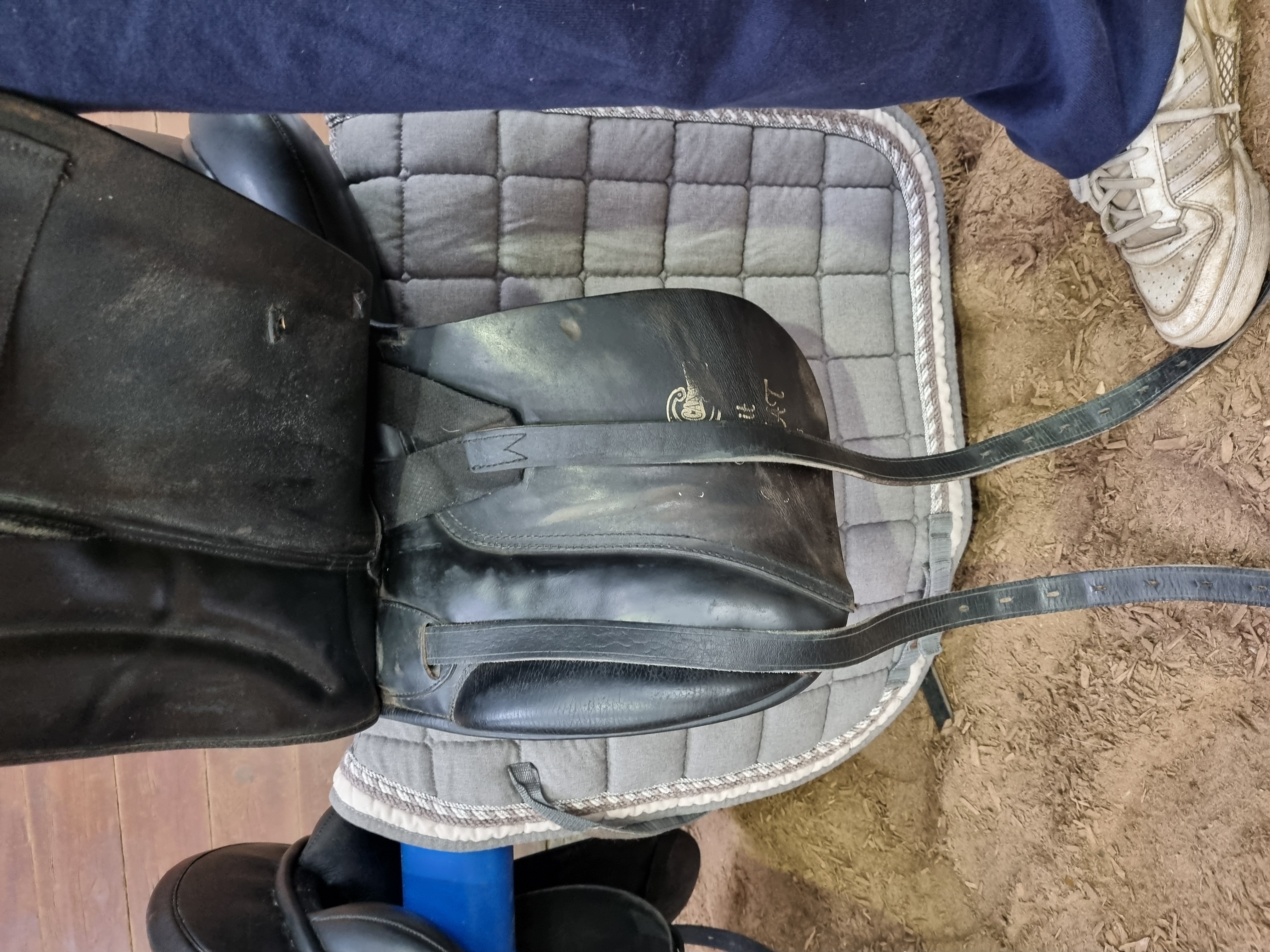 Ældre JC dressur sadler