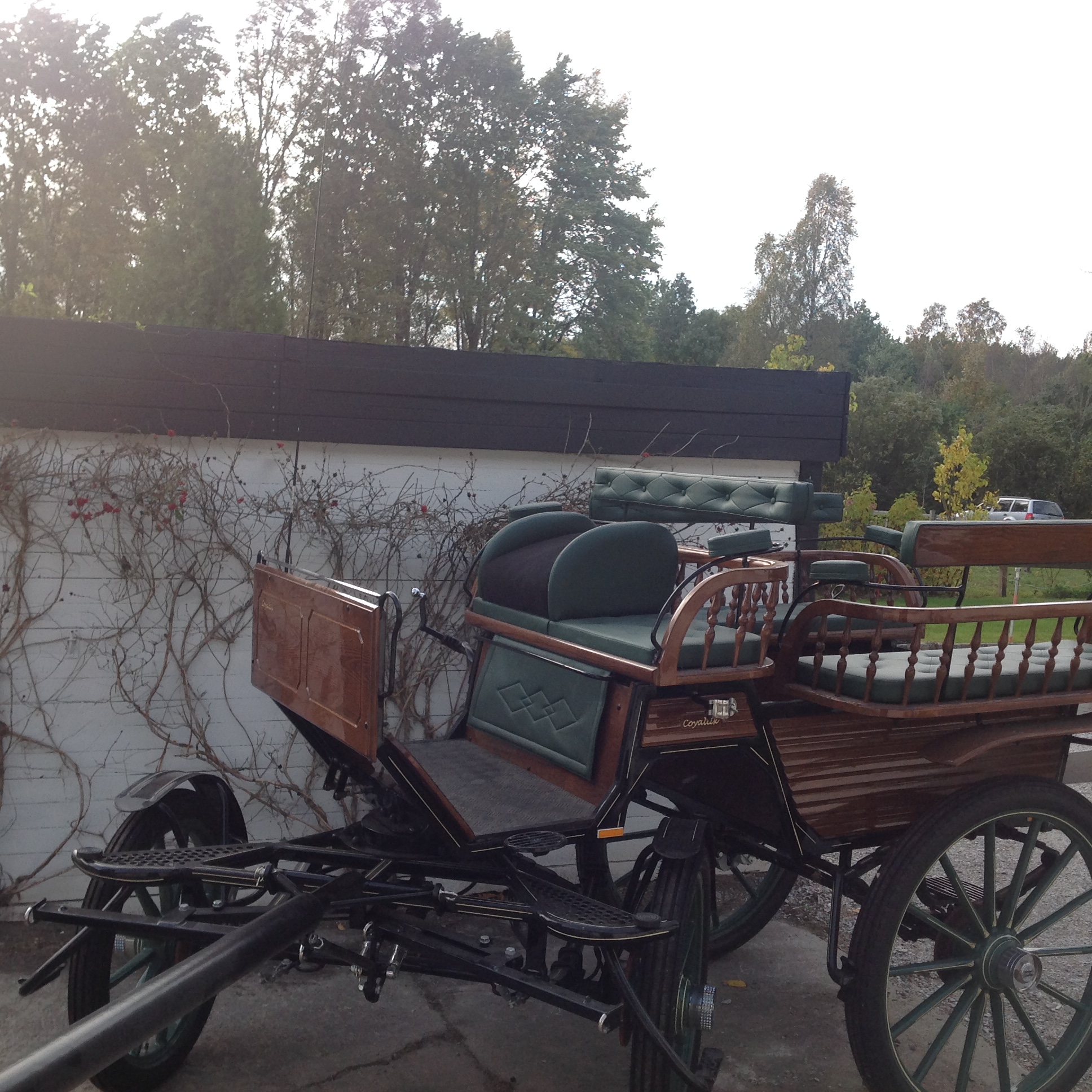 Wagonette i princip nyskick - Skåne Sverige